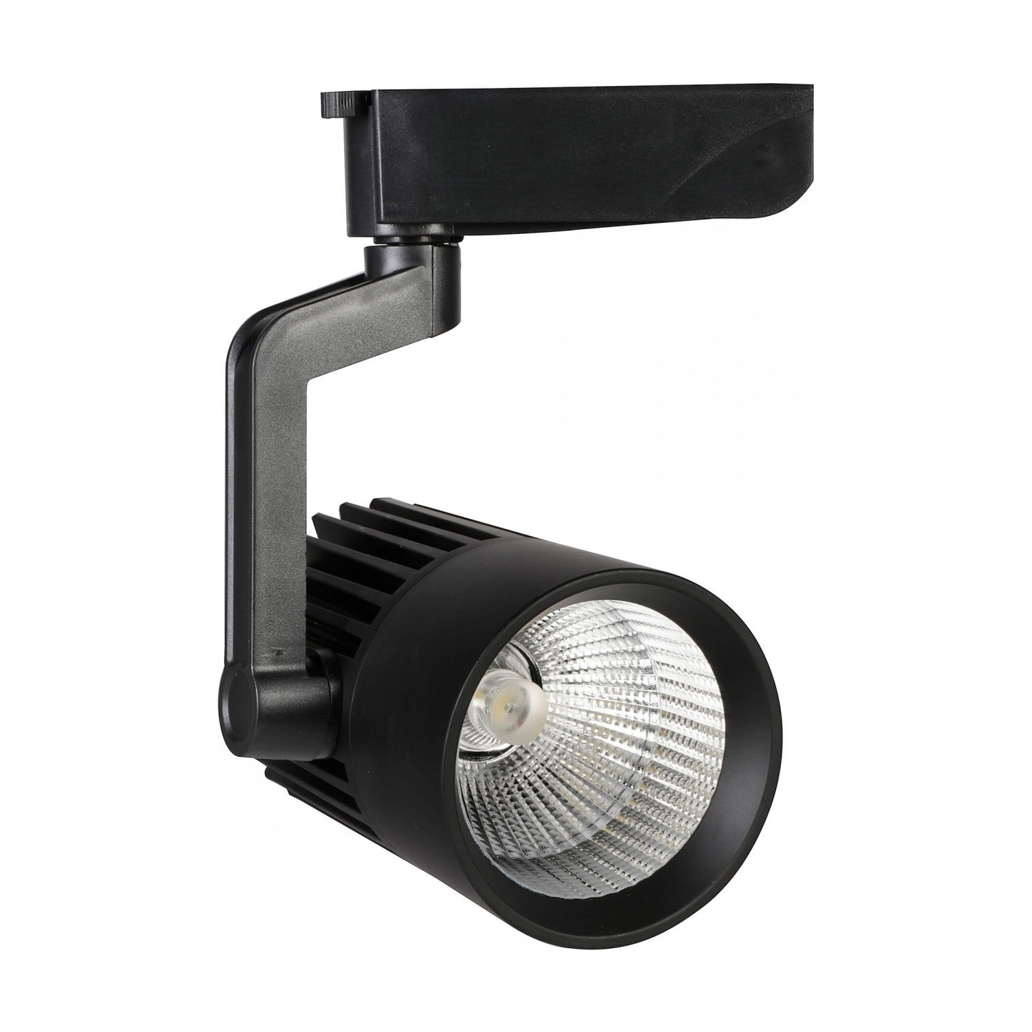 30W Gün Işığı Led Ray Spot Siyah Kasa